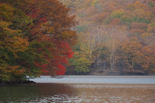b0189948_161044100.jpg