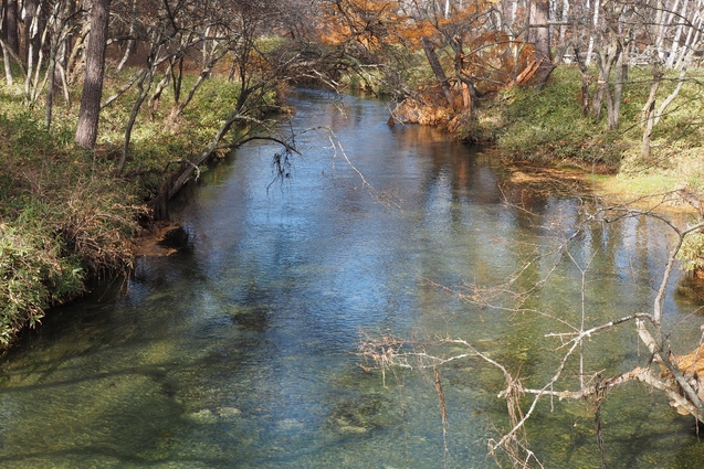b0189948_1611258.jpg