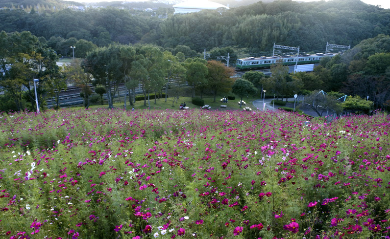 d0322448_18585200.jpg