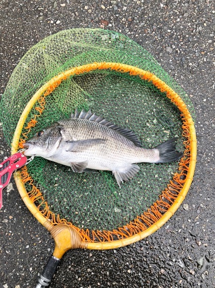 b0206856_16094729.jpeg