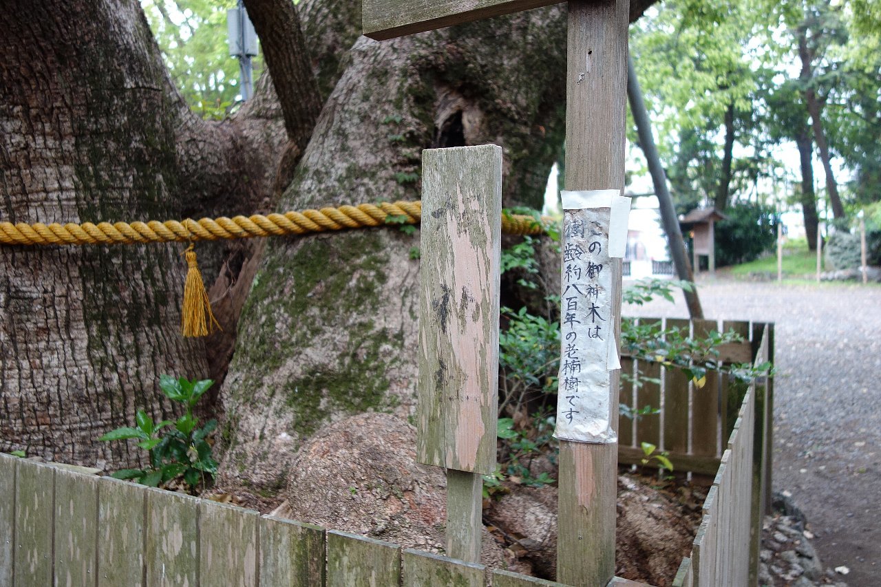 伊勢市の箕曲中松原神社（みのなかまつばらじんじゃ）_c0112559_08115789.jpg