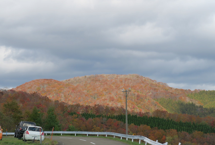 初のヒルクライム（泉ヶ岳）とプチ悲劇ネタ_d0385559_09275626.jpg