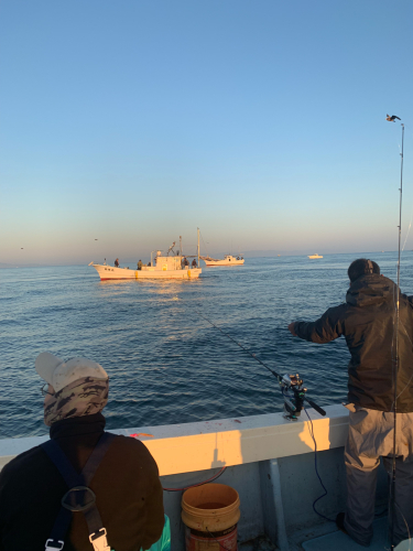 遠征釣行  富山湾太刀魚！_a0044162_05521330.jpg