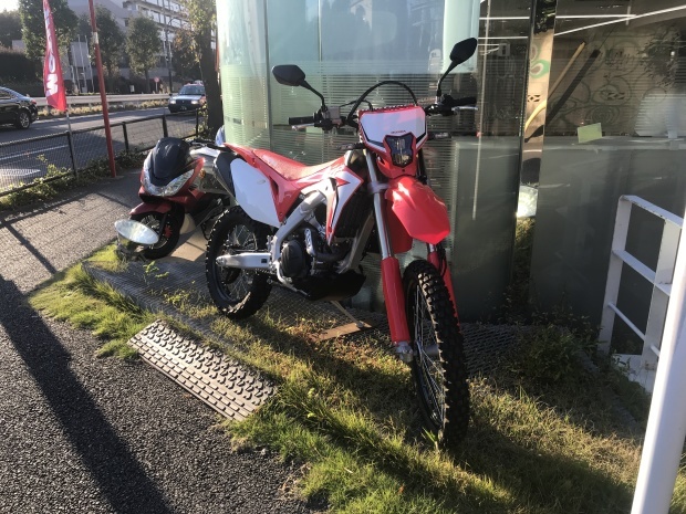 Crf450l 乗ってきました ｃｒｆ250ｌとfr250fとお犬様でトホホ