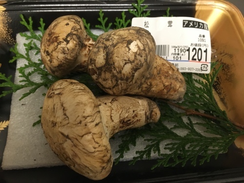 b0340367_22413982.jpeg