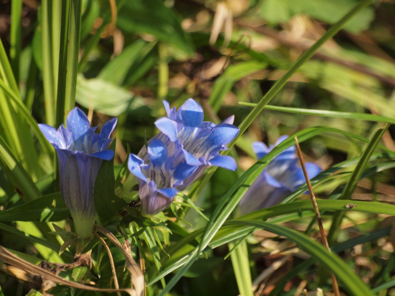 d0054276_2012030.jpg