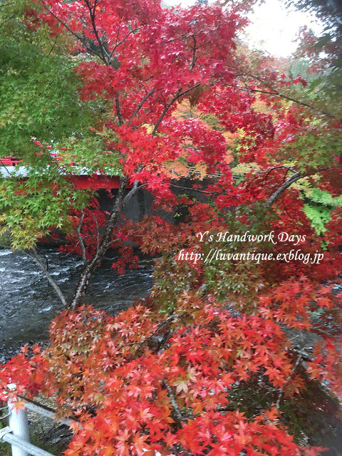 f0330978_09310286.gif