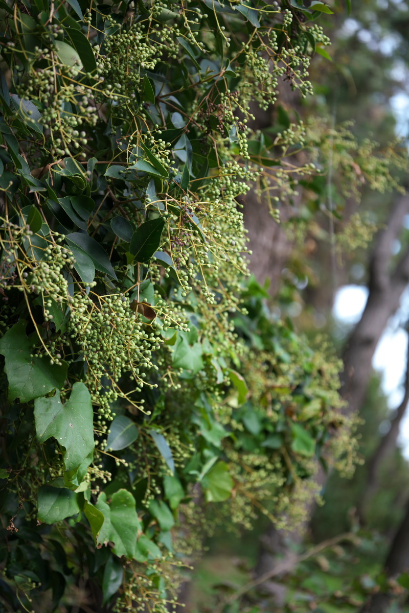 a0083081_17403199.jpg