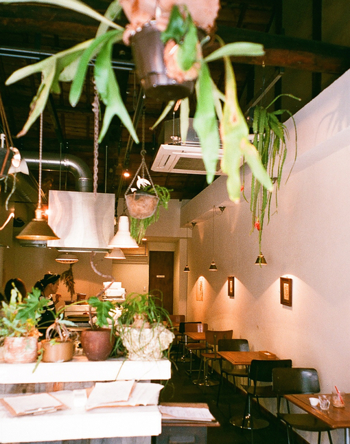 f0046982_00386.jpg