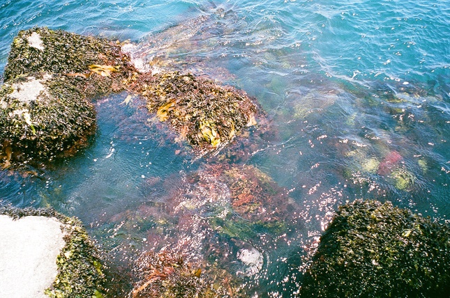 f0046982_027367.jpg