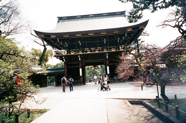 f0046982_074741.jpg