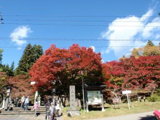 土津神社の紅葉もいいですよ_a0096989_18565208.jpg
