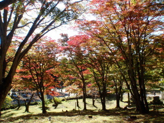 土津神社の紅葉もいいですよ_a0096989_18572522.jpg