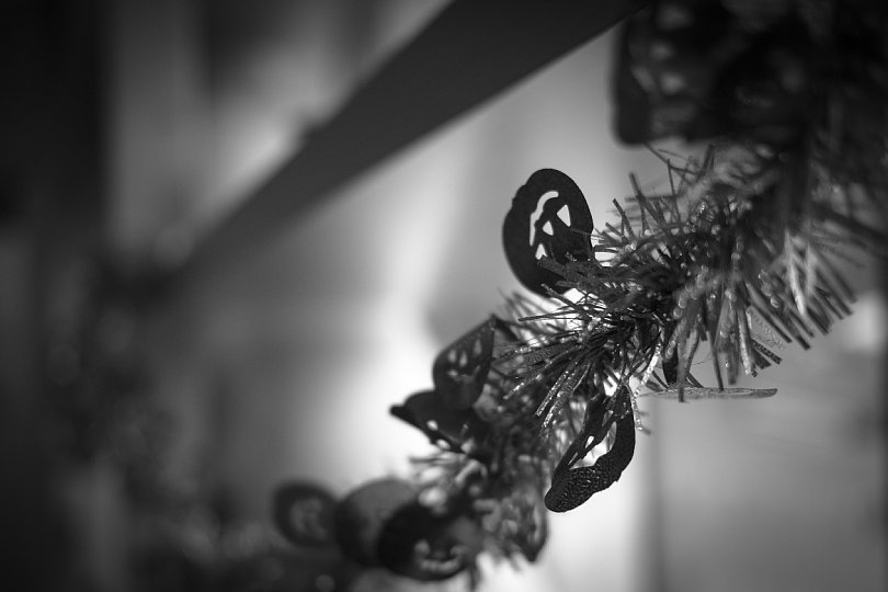 b0403692_10365911.jpg