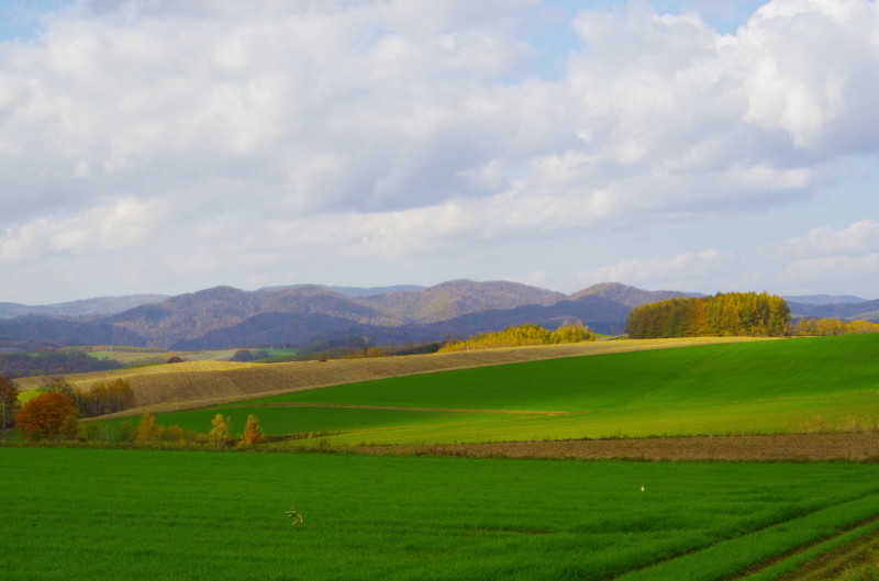 c0352894_15575060.jpg