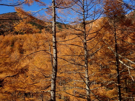e0120896_07480855.jpg