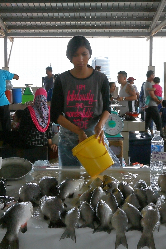 ボルネオ コタキナバルの 魚市場とマレーシア美人 旅プラスの日記 ボルネオ コタキナバルの 魚市場とマレーシア美人 旅プラスの日記