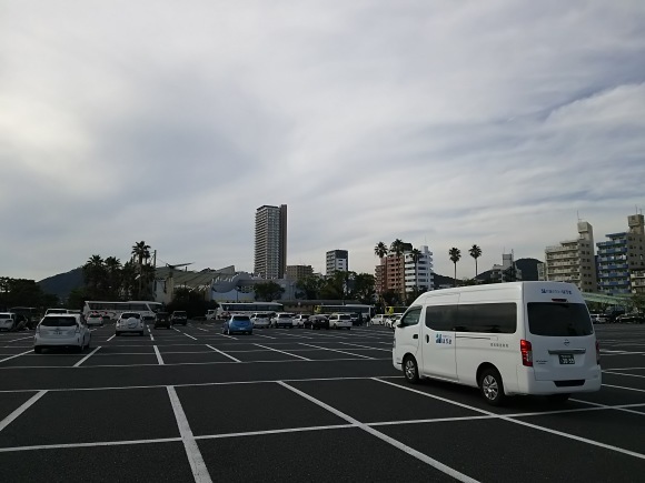 願いの椰子の木_b0329603_11275436.jpg