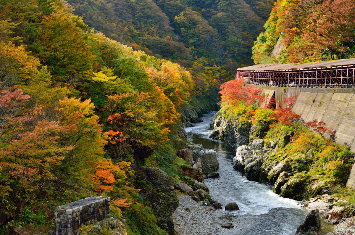 赤芝峡の紅葉 Yama10フォトライフ