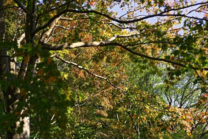 d0376905_14002374.jpg