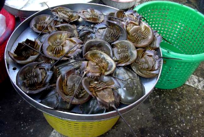 d0140806_1310980.jpg