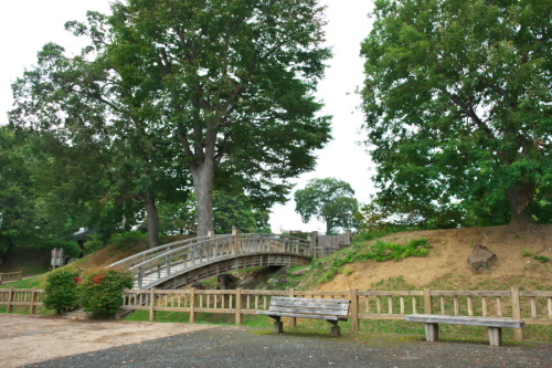 中野市 一本木公園の秋薔薇とダリア6_a0263109_15072704.jpg