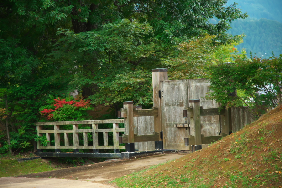 中野市 一本木公園の秋薔薇とダリア6_a0263109_15072756.jpg