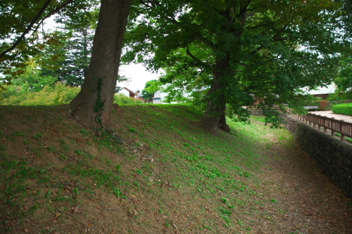 中野市 一本木公園の秋薔薇とダリア6_a0263109_15072904.jpg