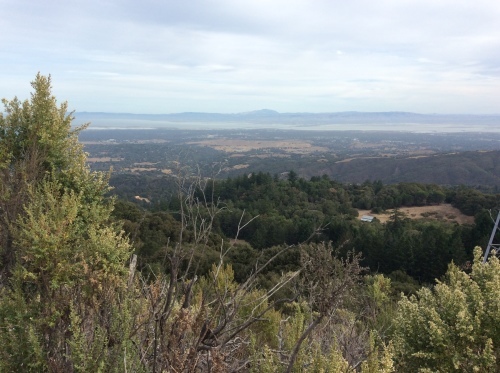 a0331910_06130640.jpeg