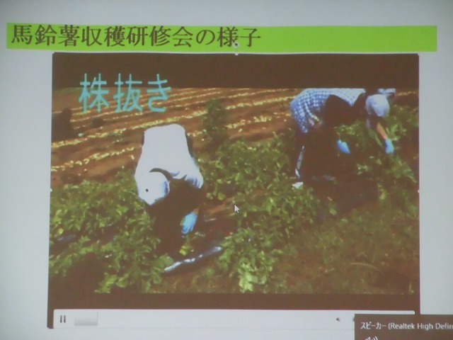 三島馬鈴薯の収穫作業を動画で配信し、福祉事業所との距離を縮める 一歩先を行く三島市の「農福連携」への取り組み_f0141310_07401095.jpg