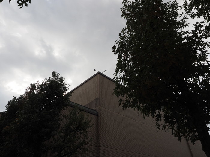 五日市中央公園&佐伯区民文化センター_c0116915_23363292.jpg