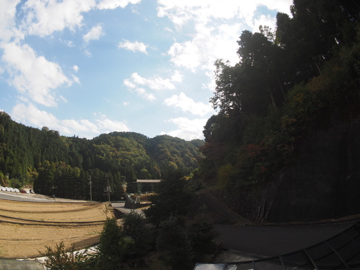 午後も晴れた_c0116915_23420255.jpg