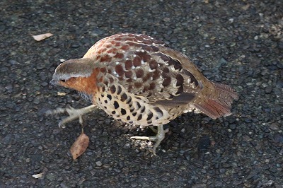e0373815_14501242.jpg