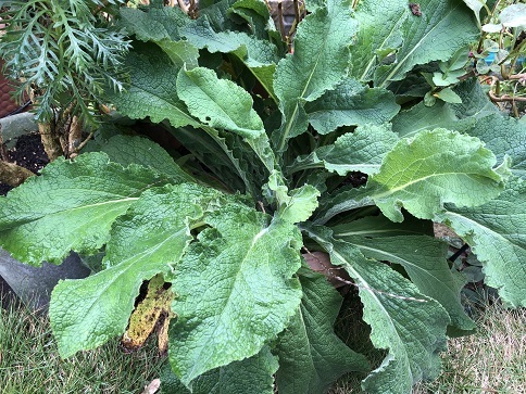 c0046316_22191641.jpg