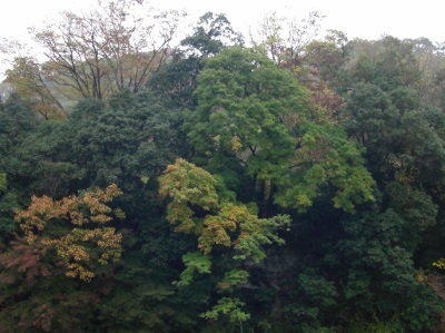 c0074721_15431837.jpg