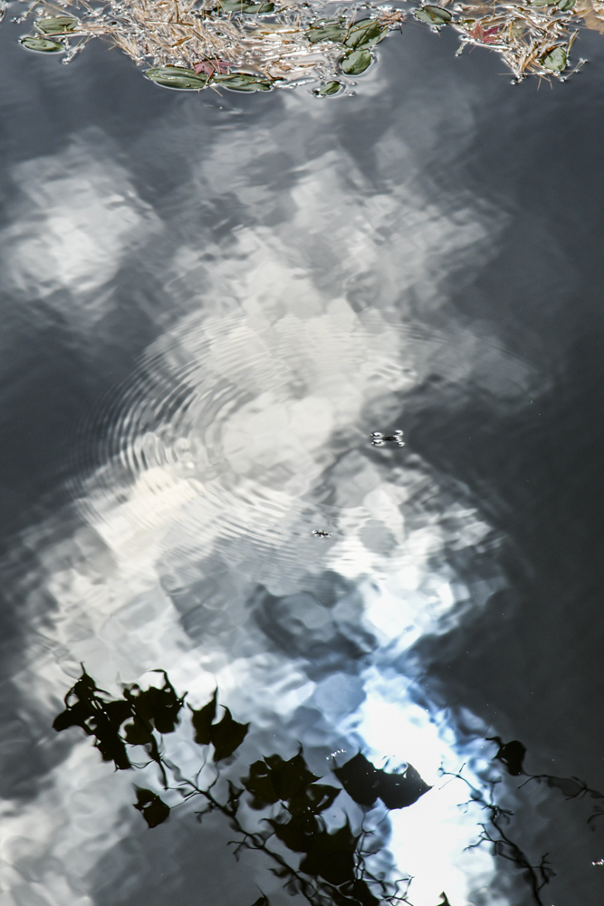 d0265224_21125386.jpg