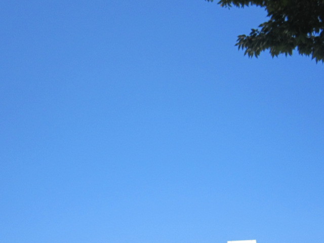 d0162225_10150470.jpg