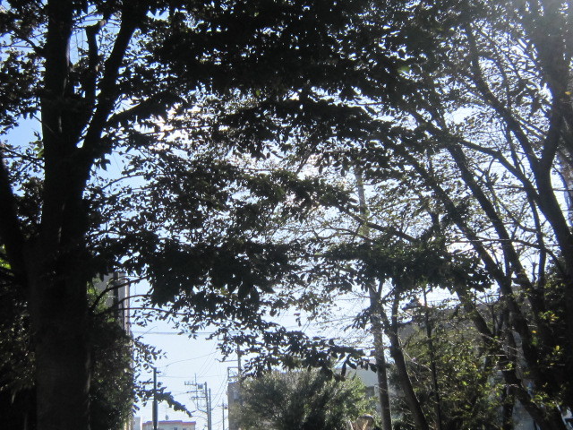 d0162225_10151690.jpg