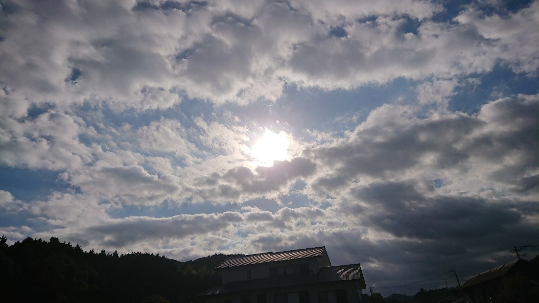 b0098228_09280541.jpg
