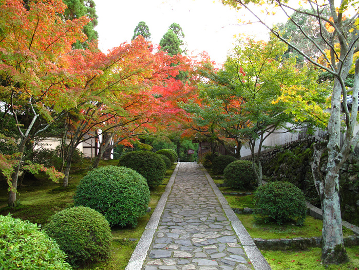 そうだ 京都、行こう。 －2018年紅葉 一休寺－ _b0169330_7224559.jpg