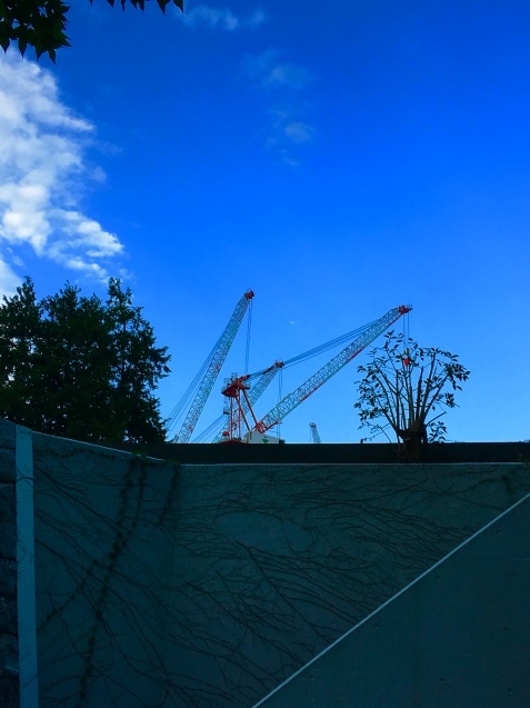 c0221732_21123421.jpeg