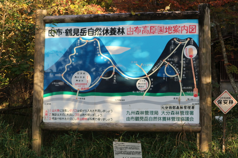 e0272335_1548779.jpg