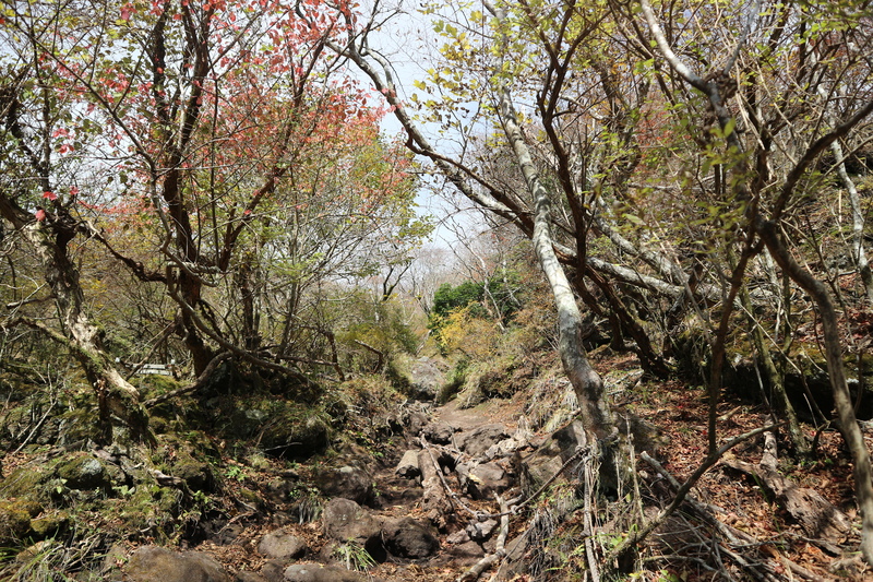 e0272335_16124022.jpg