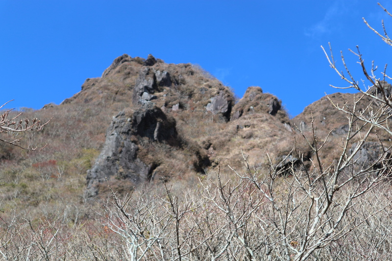 e0272335_1616296.jpg