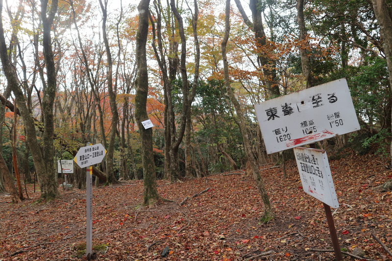 由布岳日向観察路で紅葉を楽しむ（2018/10/30）_e0272335_164320.jpg