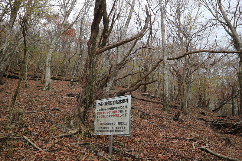 e0272335_16755100.jpg