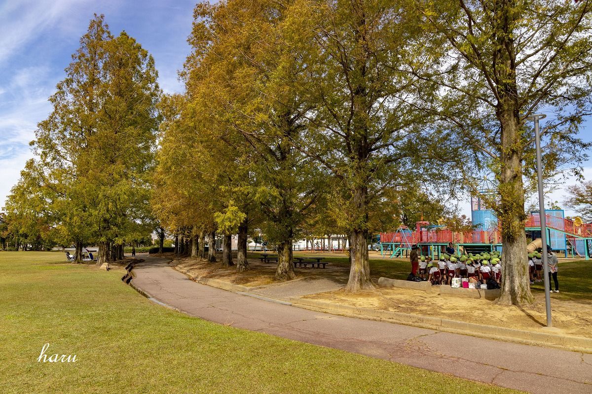 f0297537_06273394.jpg