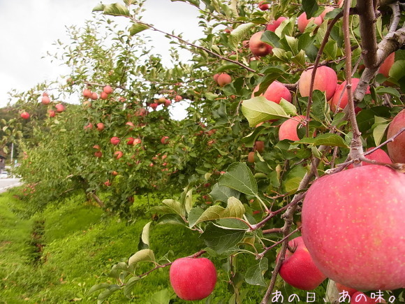 a0305046_09293228.jpg