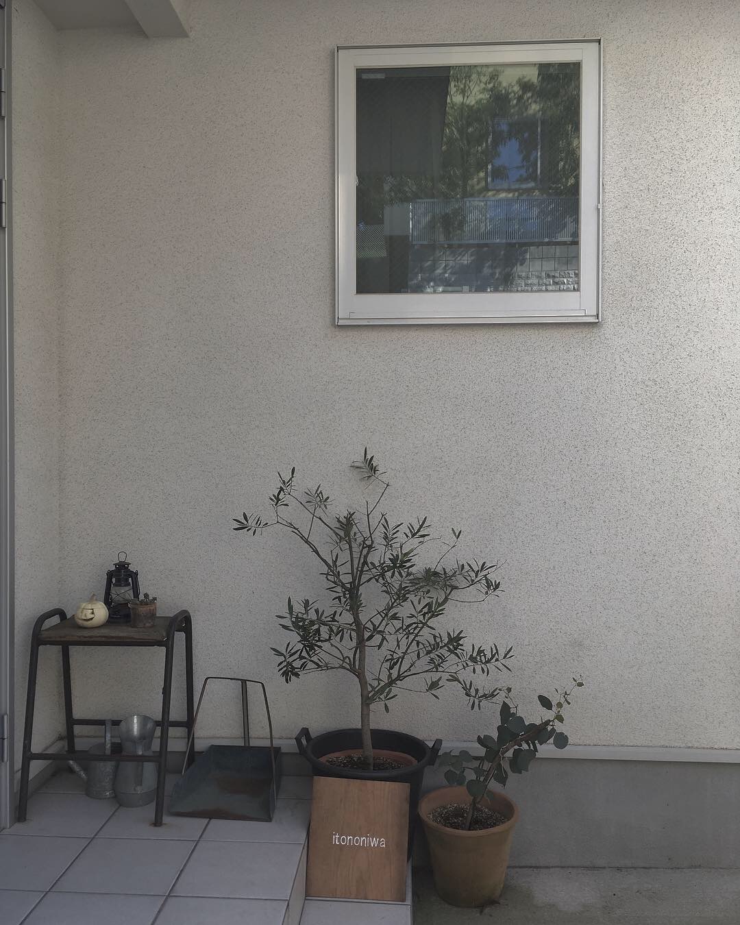 a0326649_21211619.jpeg