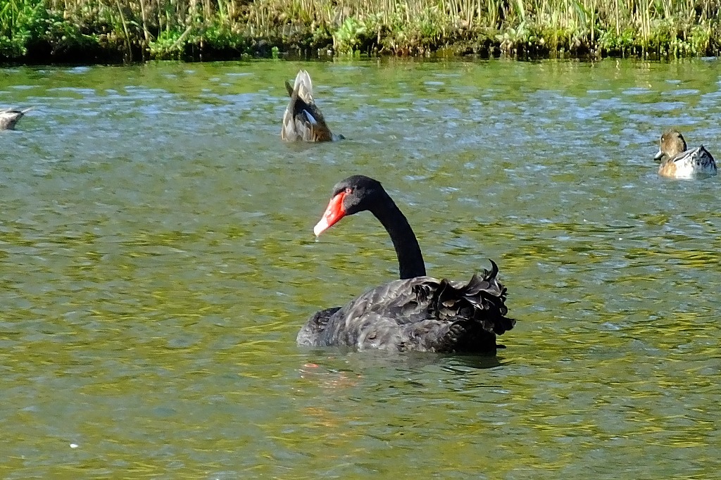 b0236251_08402870.jpg